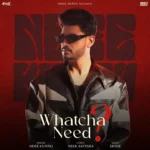 Whatcha Need? Lyrics – Ndee Kundu