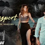 Passport Song Lyrics – Diler Kharkiya